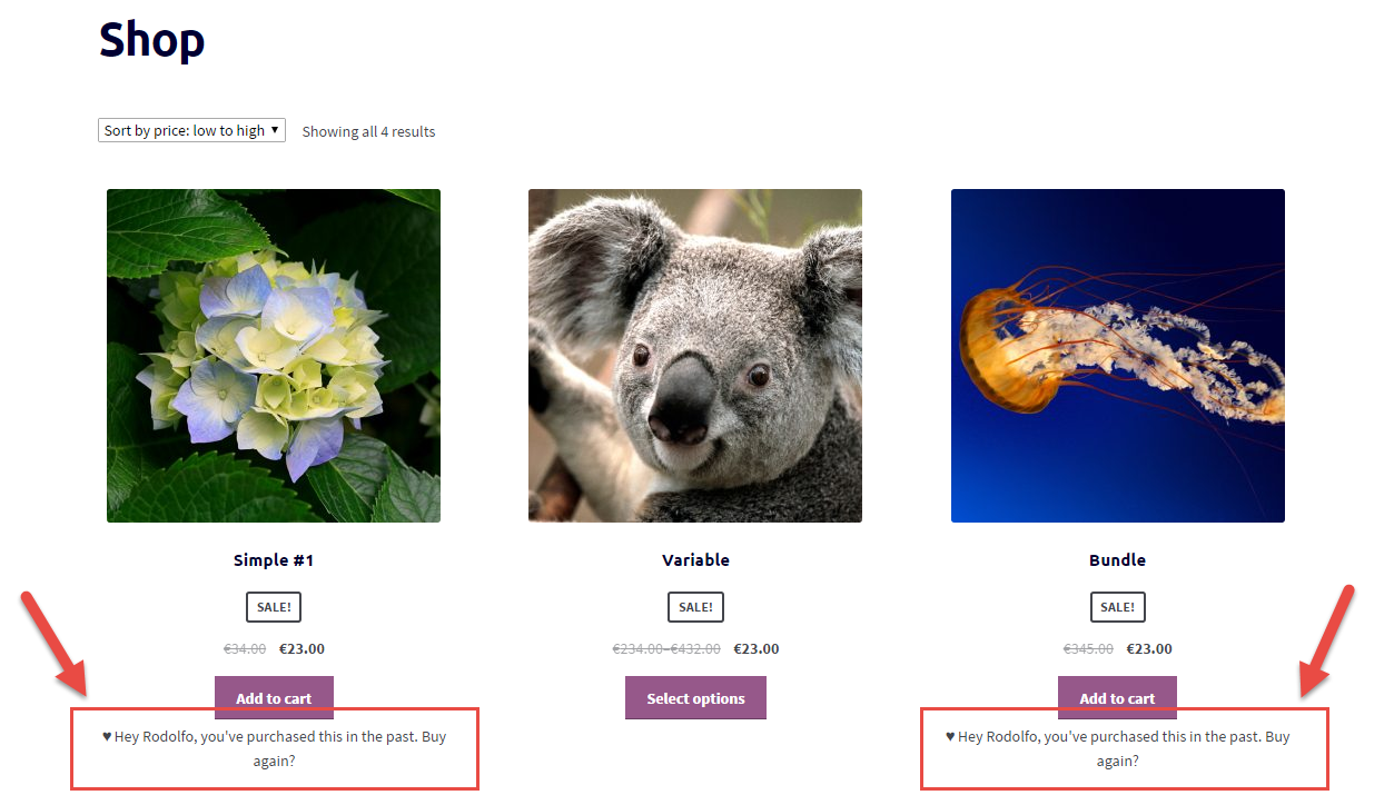 Check If User Already Purchased Product