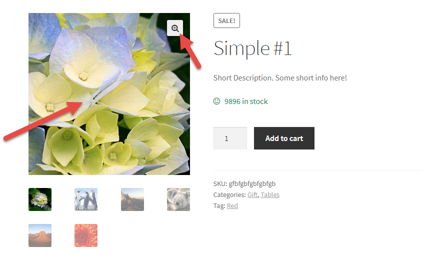 Disable Zoom, Gallery Slider & Lightbox at Single Product in Woocommerce